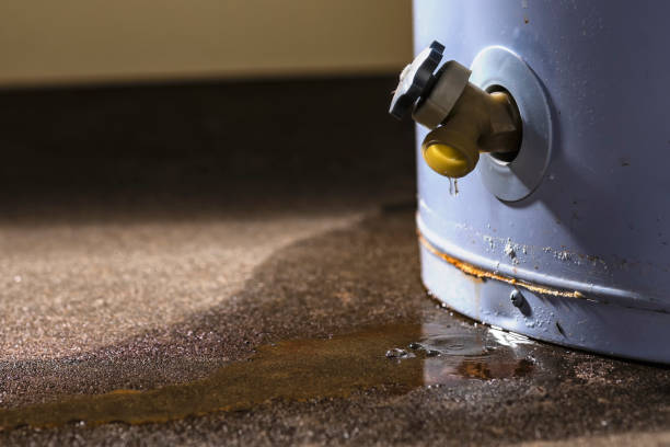 Best 24-hour water damage restoration  in Thorntown, IN