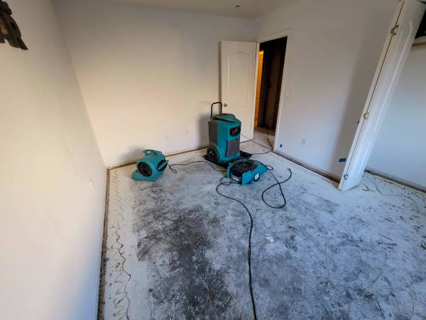 Best Local water damage restoration  in Thorntown, IN
