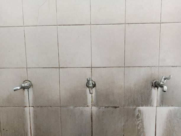 Best Water damage restoration specialists  in Thorntown, IN