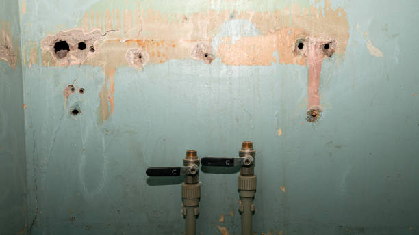 Best Water damage restoration insurance claims  in Thorntown, IN